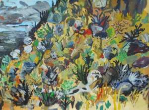 zaander-out side albuquerque